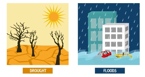 water cycle, transpiration, evaporation, condensation, conservation of water, drought, floods, rainwater harvesting, water, NCERT science class 6